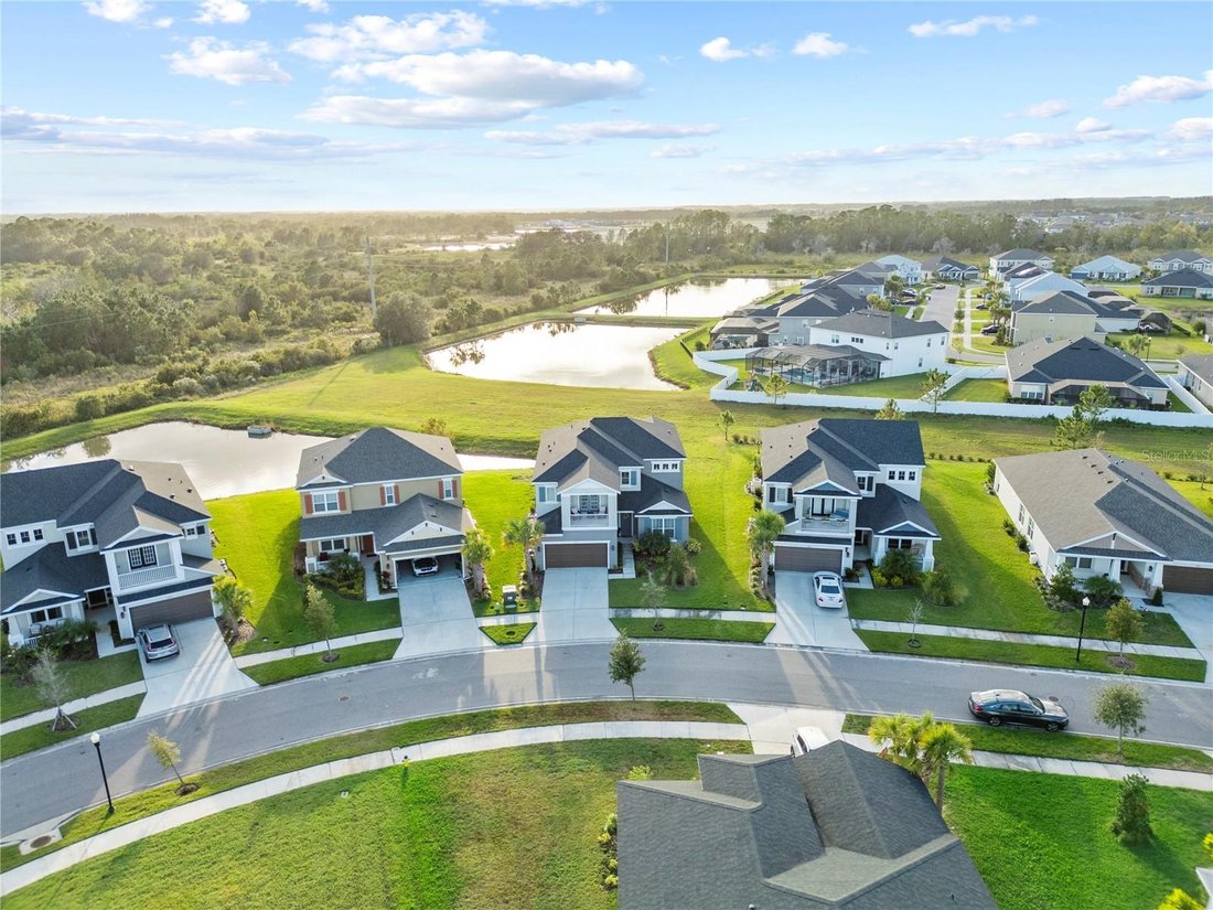 House in Wesley Chapel, Florida, United States 2 - 17367251