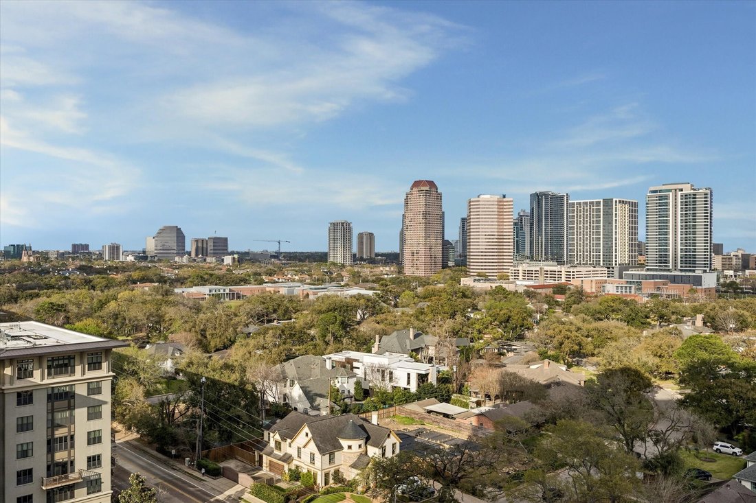 Condo in Houston, Texas, United States 3 - 17371684