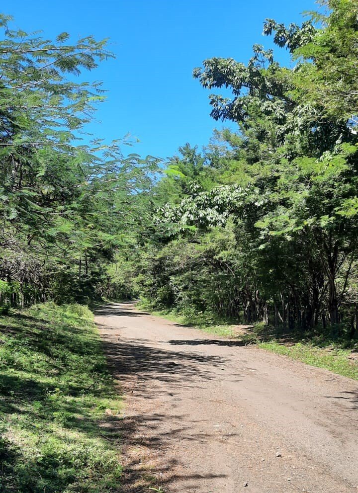 Farm Ranch in La Paz Centro, Leon, Nicaragua 1 - 17365250