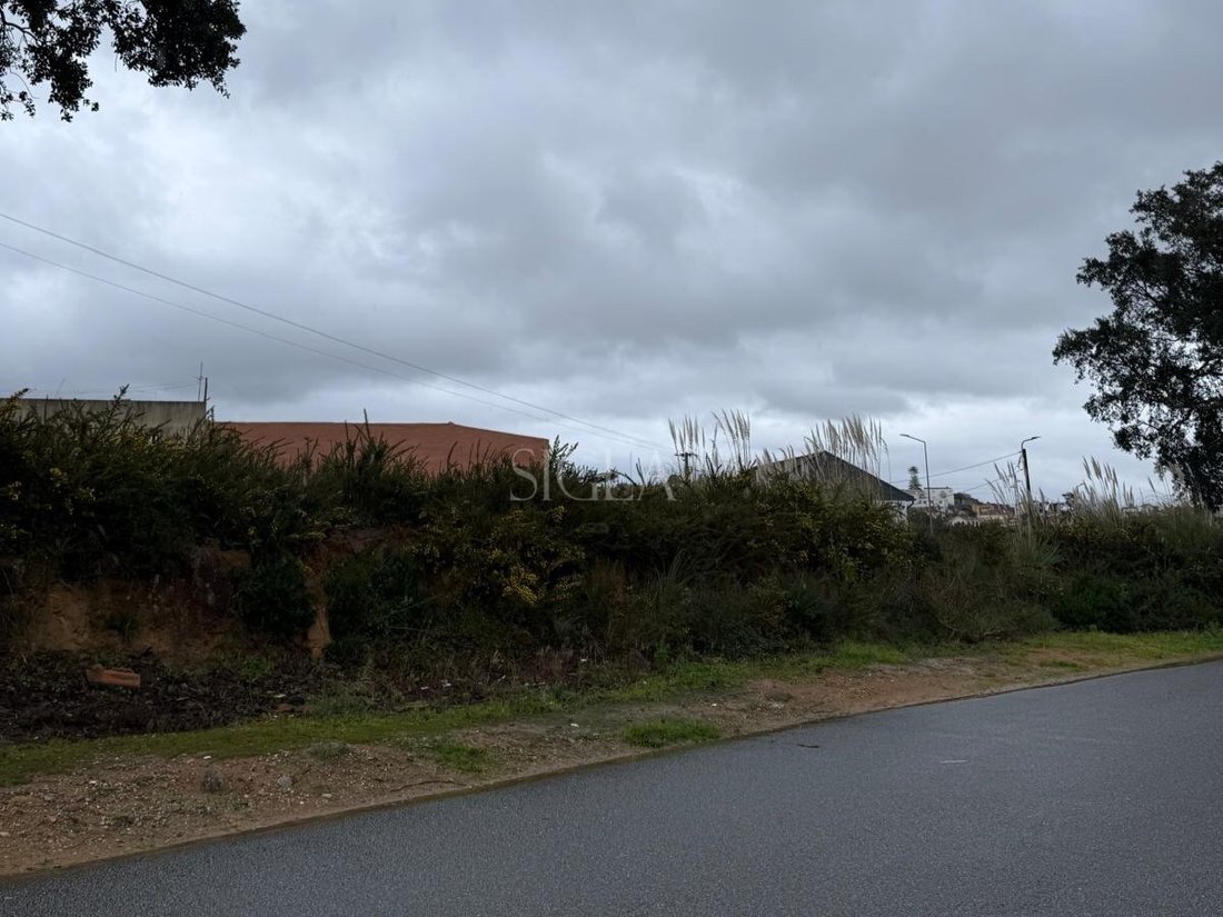 Land in Madalena, Porto District, Portugal 4 - 17363929