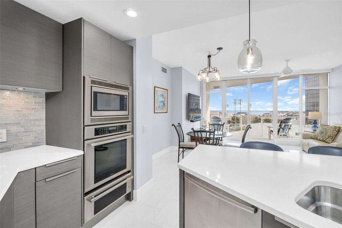 Condo in St. Petersburg, Florida, United States 5 - 17359304