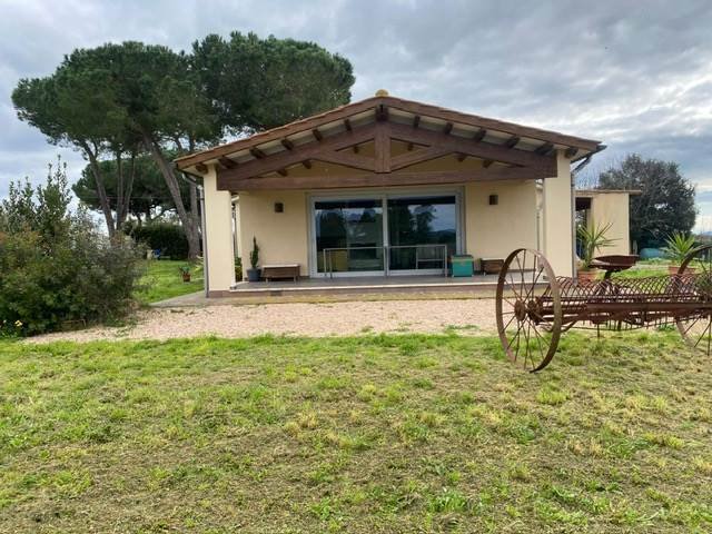Magliano in Toscana, Tuscany, Italy 2 - 17361629