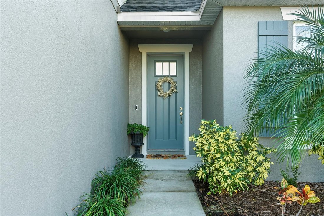 House in Wesley Chapel, Florida, United States 4 - 17367251