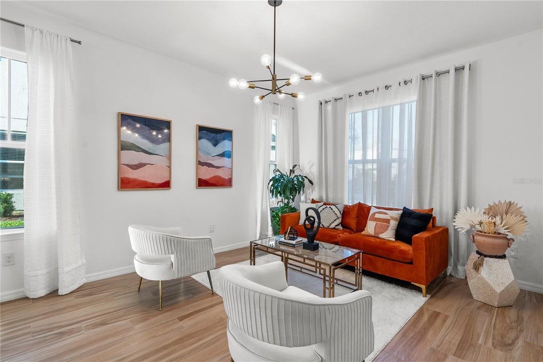 House in Wesley Chapel, Florida, United States 5 - 17367251