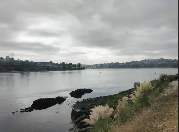 Land in Oliveira do Douro, Porto District, Portugal 3 - 17357840