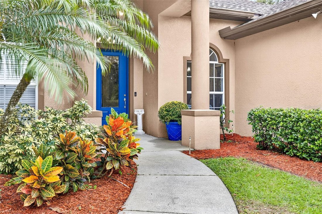 House in Dover, Florida, United States 5 - 17362851