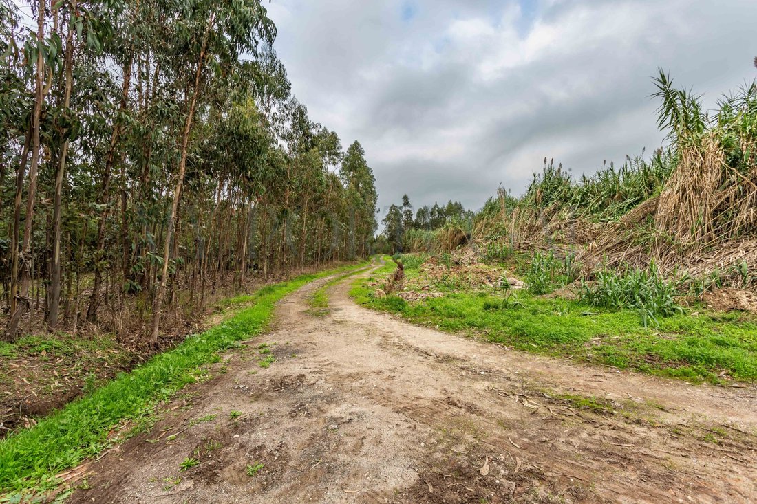 Land in Mira, Coimbra District, Portugal 4 - 17364018