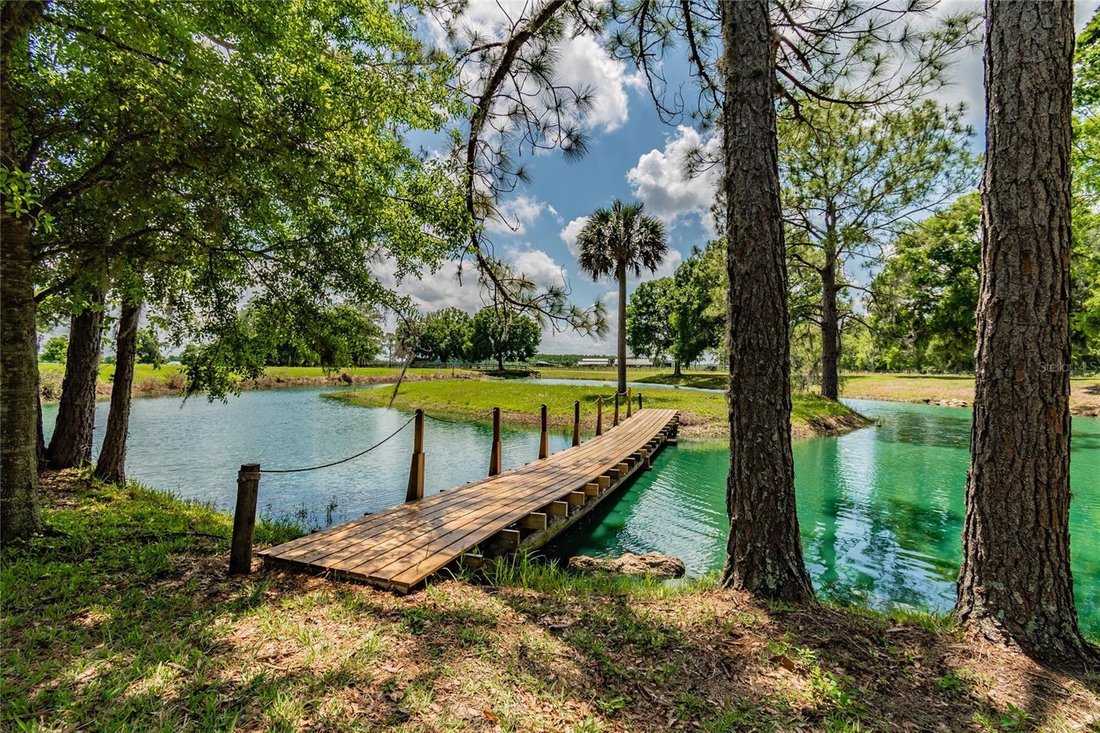 House in Lakeland, Florida, United States 3 - 17362865