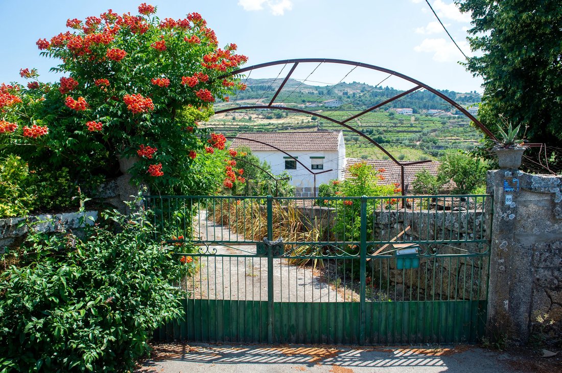 Farm Ranch in Barcos e Santa Leocadia, Viseu District, Portugal 1 - 17361579