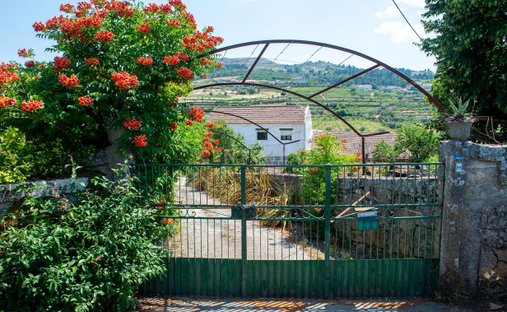 Farm Ranch in Barcos e Santa Leocadia, Viseu, Portugal 1
