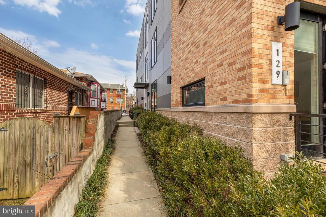 Condo in Washington, District of Columbia, United States 5 - 17361068