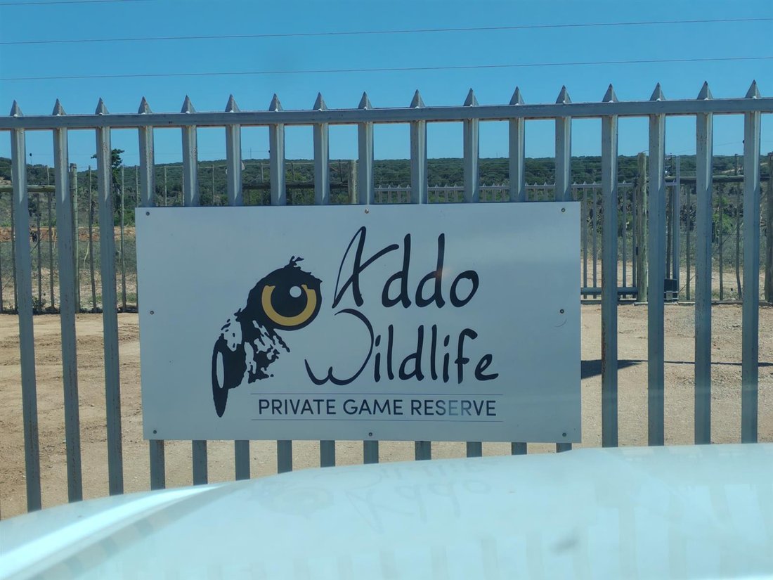 Sundays River Valley Local Municipality, Eastern Cape, South Africa 5 - 17358313