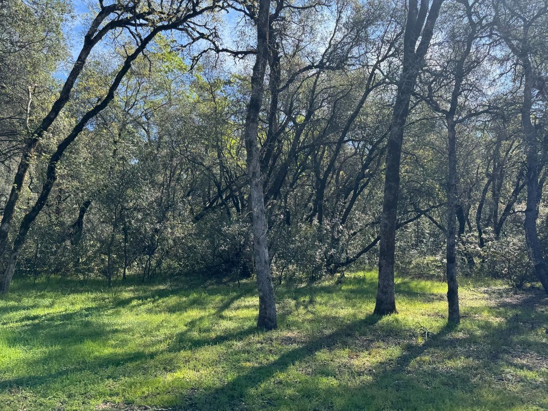 Land in Auburn, California, United States 1 - 17361817