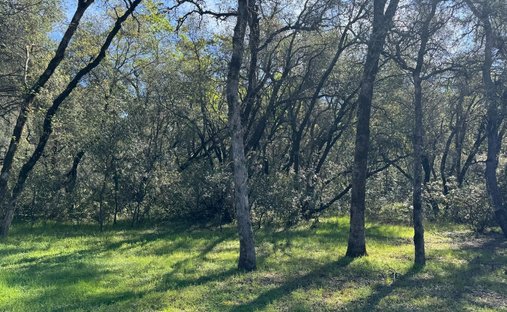 Land in Auburn, California, United States 1