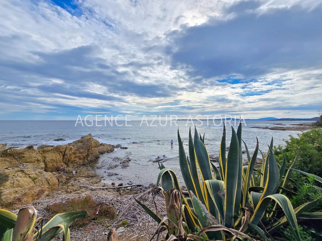 Villa in French Riviera, Provence-Alpes-Côte d'Azur, France 2 - 17356348