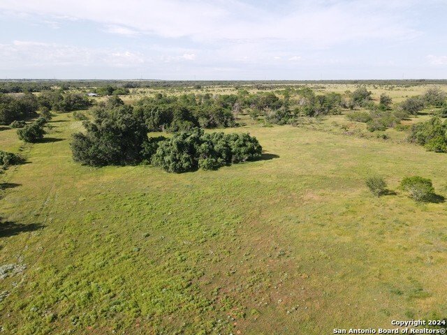 Farm Ranch in Nixon, Texas, United States 4 - 17367561
