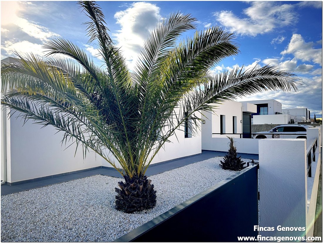 House in Castello d'Empuries, Catalonia, Spain 4 - 17368369