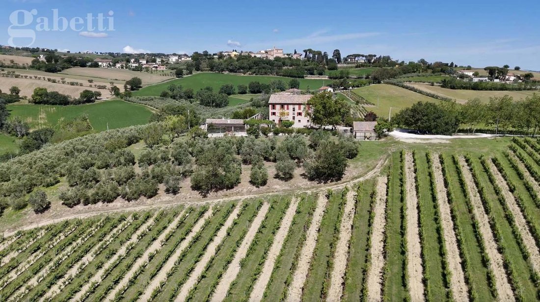 Villa in Arcevia, Marche, Italy 5 - 17359175