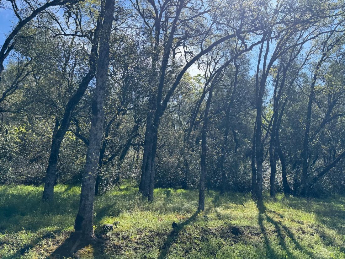 Land in Auburn, California, United States 3 - 17361817