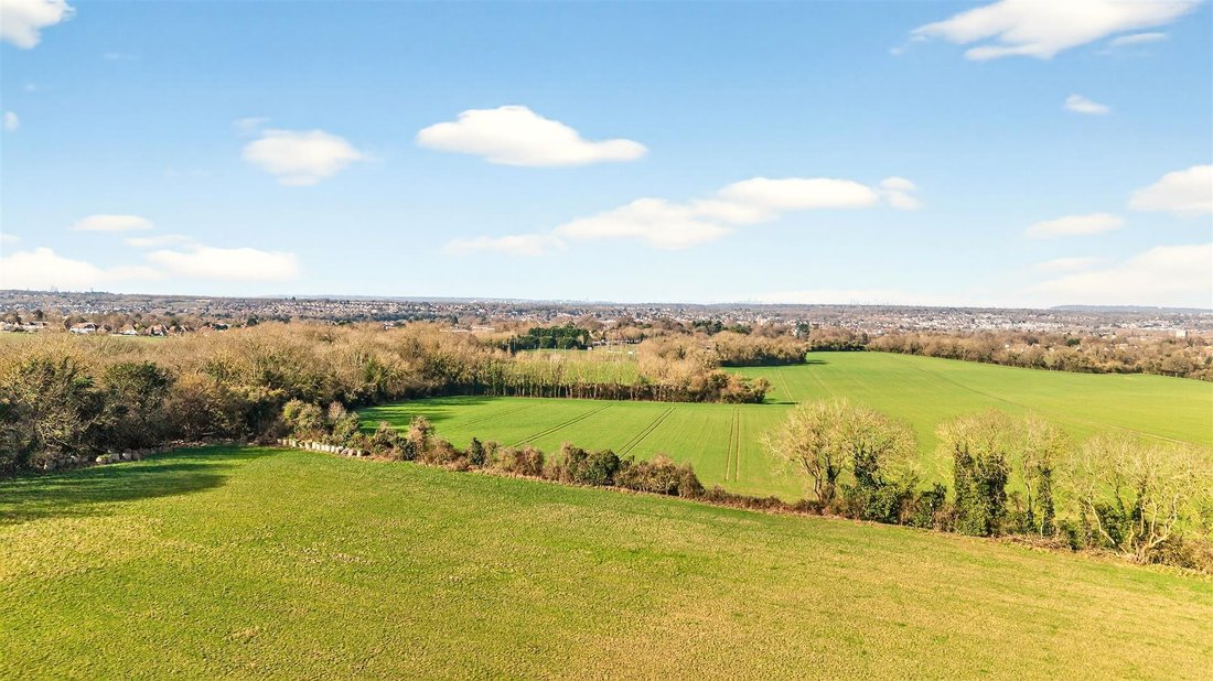 Chelsfield, England 2 - 17363379