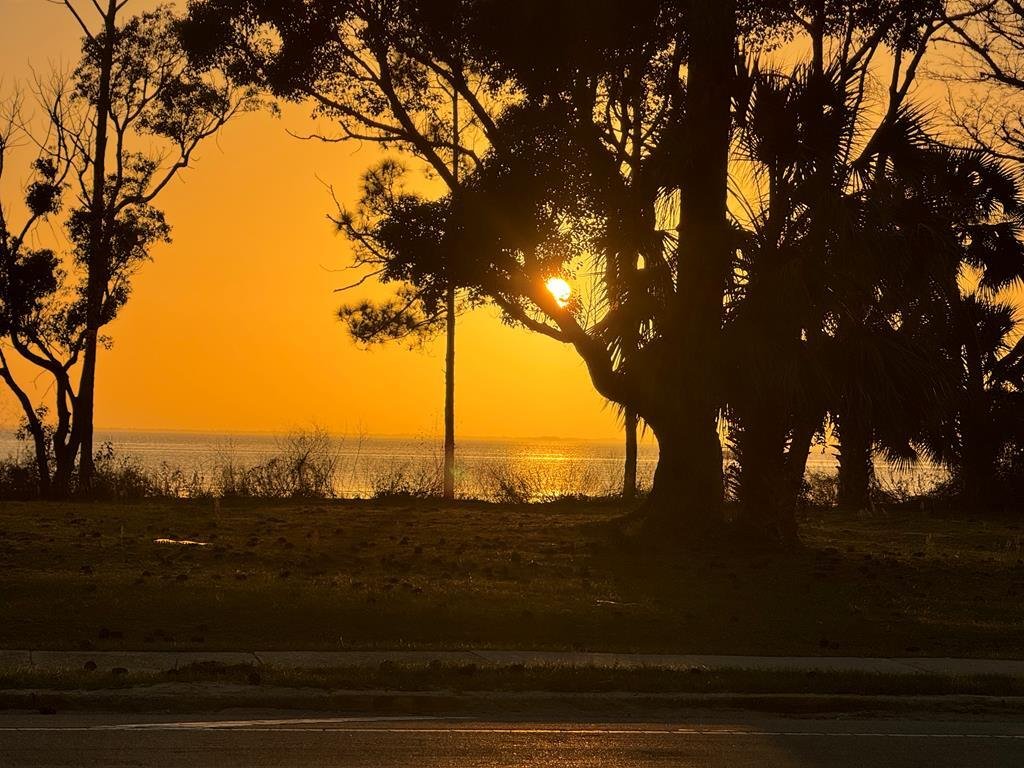 House in Port St. Joe, Florida, United States 2 - 17350240