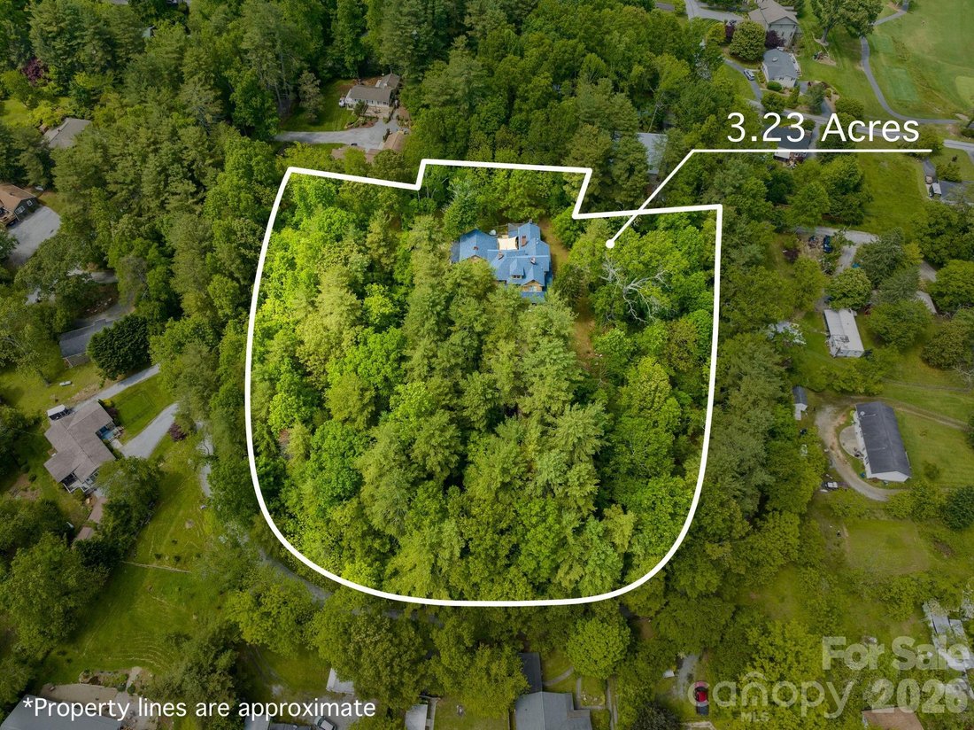 House in Laurel Park, North Carolina, United States 3 - 15685029