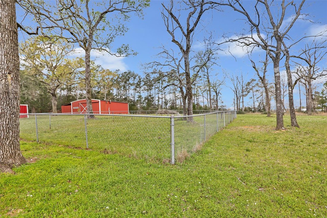Haus in Willis, Texas, Vereinigte Staaten 5 - 17366969