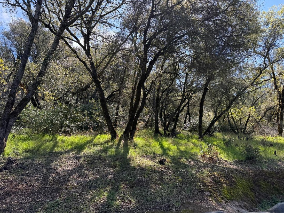 Land in Auburn, California, United States 2 - 17361817