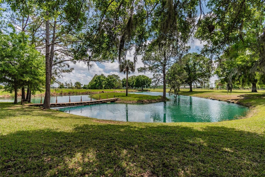 House in Lakeland, Florida, United States 5 - 17362865