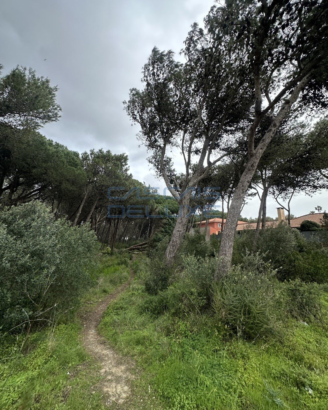 Land in Cascais e Estoril, Lisbon, Portugal 2 - 14900595