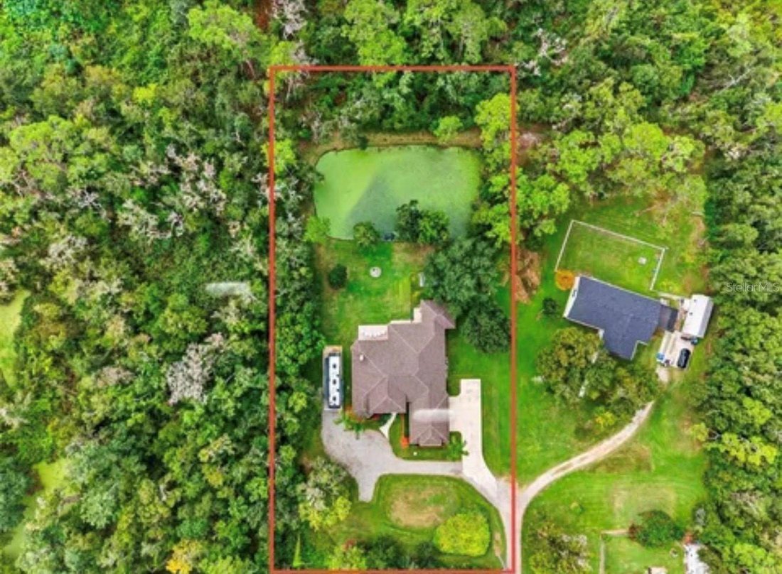 House in Dover, Florida, United States 1 - 17362851
