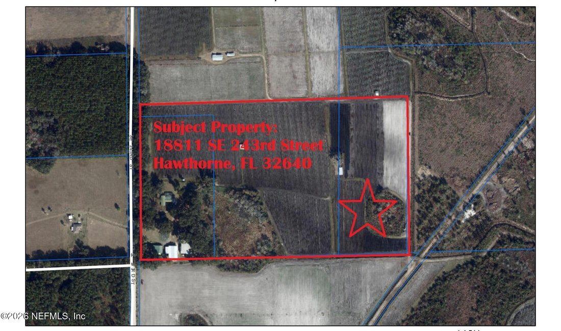 House in Hawthorne, Florida, United States 3 - 17366855