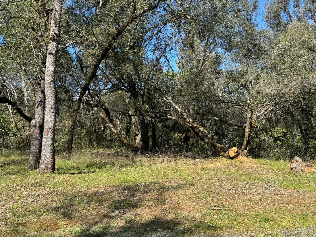 Land in Auburn, California, United States 5 - 17361817