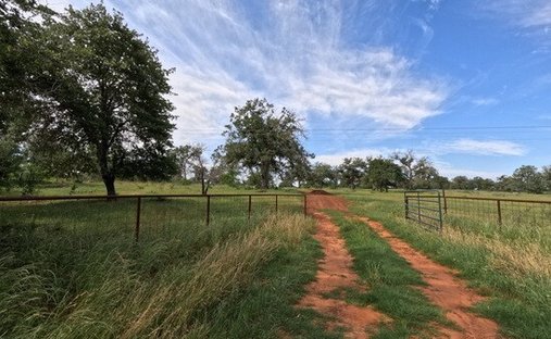 Farm Ranch in Nixon, Texas, United States 1