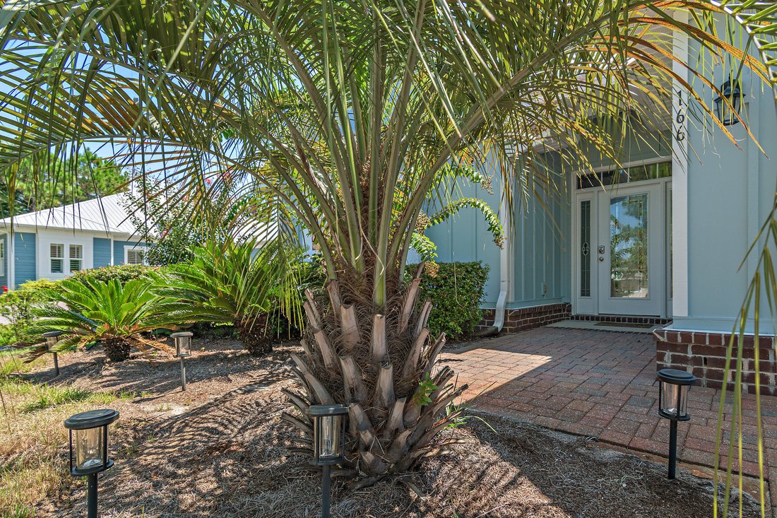 House in Santa Rosa Beach, Florida, United States 3 - 17356440