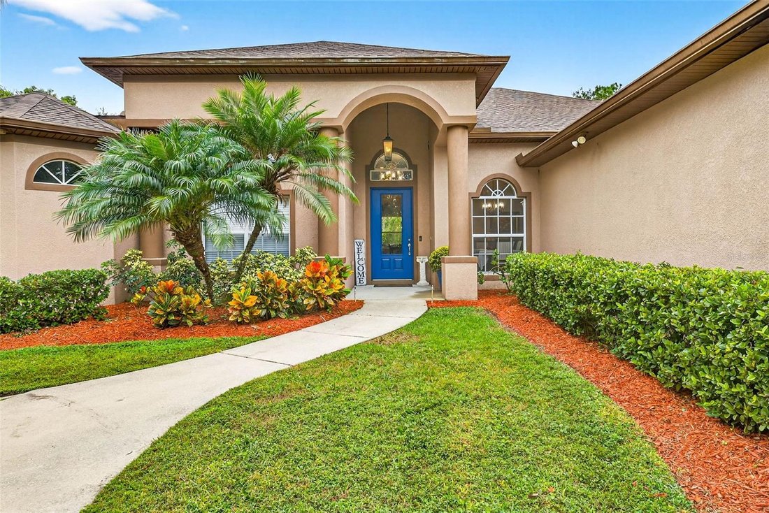 House in Dover, Florida, United States 4 - 17362851