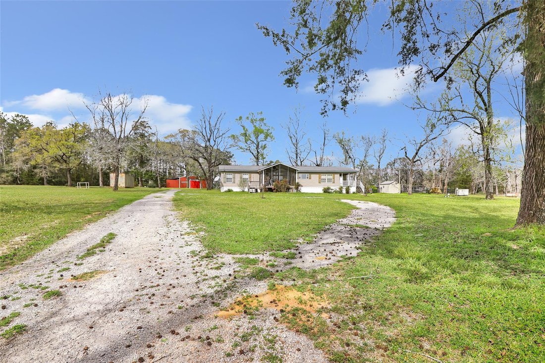 Haus in Willis, Texas, Vereinigte Staaten 3 - 17366969