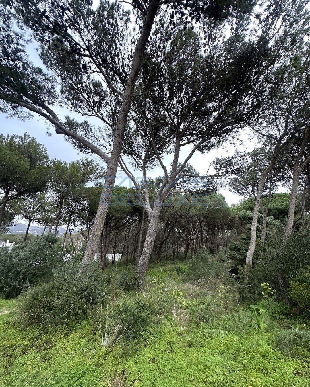Land in Cascais e Estoril, Lisbon, Portugal 1 - 14900595