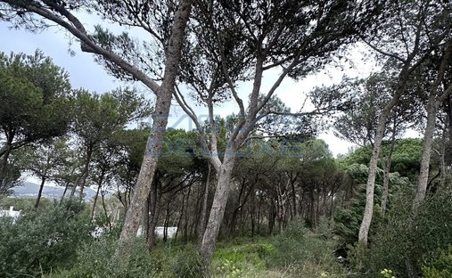 Land in Cascais und Estoril, Lissabon, Portugal 1