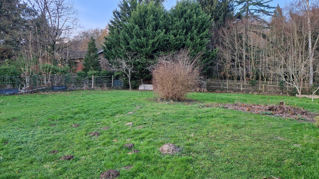 Land in Centre Tilleuls-Fauvettes, Bures-sur-Yvette, France 2 - 16997038