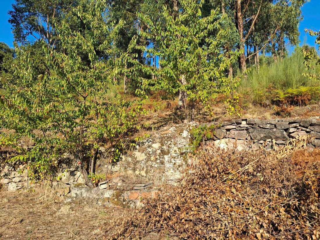 Land in Ceivaes e Badim, Viana do Castelo District, Portugal 3 - 17363700