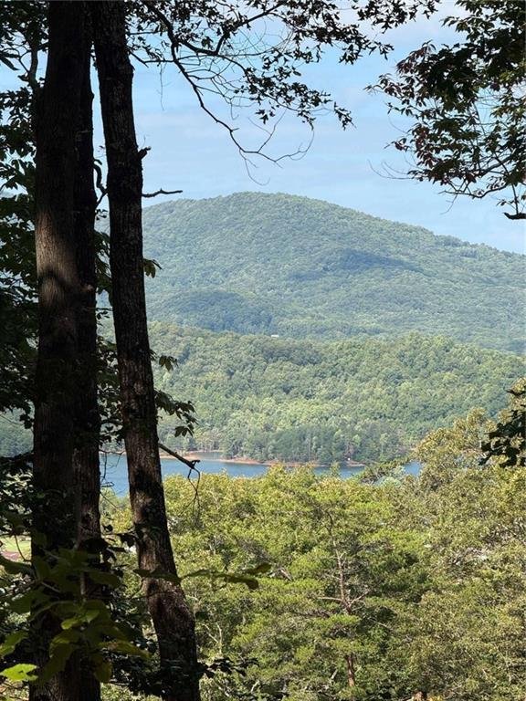 House in Hiawassee, Georgia, United States 3 - 17366895