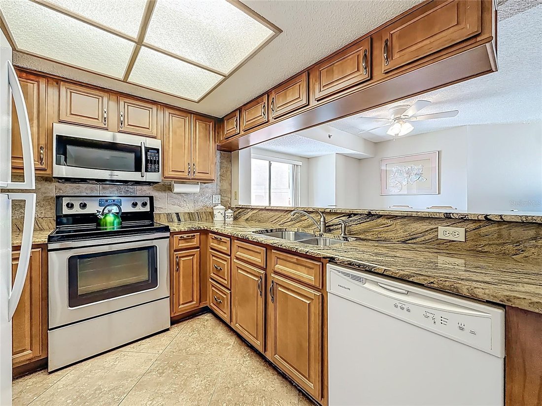 Condo in Indian Shores, Florida, United States 5 - 17356615