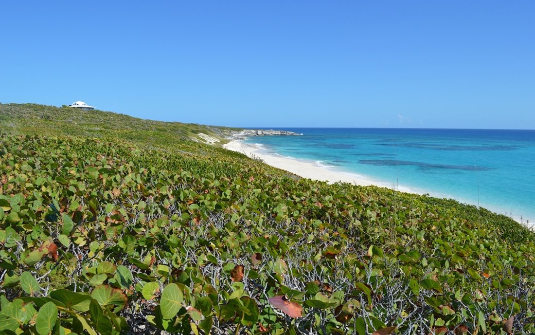 Land in Black Point, Black Point, The Bahamas 1 - 17357974