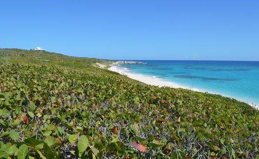 Land in Black Point, Black Point, Bahamas 1
