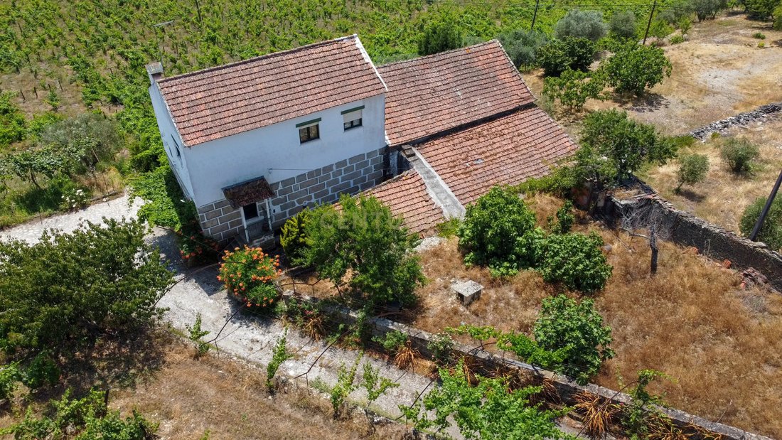 Farm Ranch in Barcos e Santa Leocadia, Viseu District, Portugal 2 - 17361579
