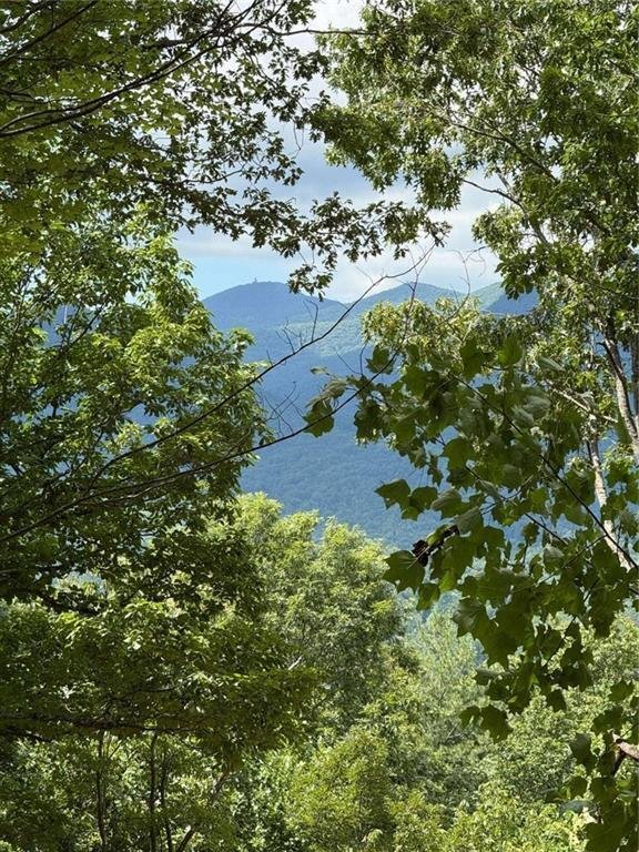 House in Hiawassee, Georgia, United States 4 - 17366895