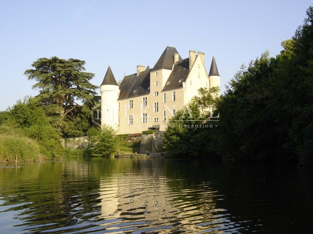 Castle in Le Blanc, Centre-Val de Loire, France 1 - 12577123