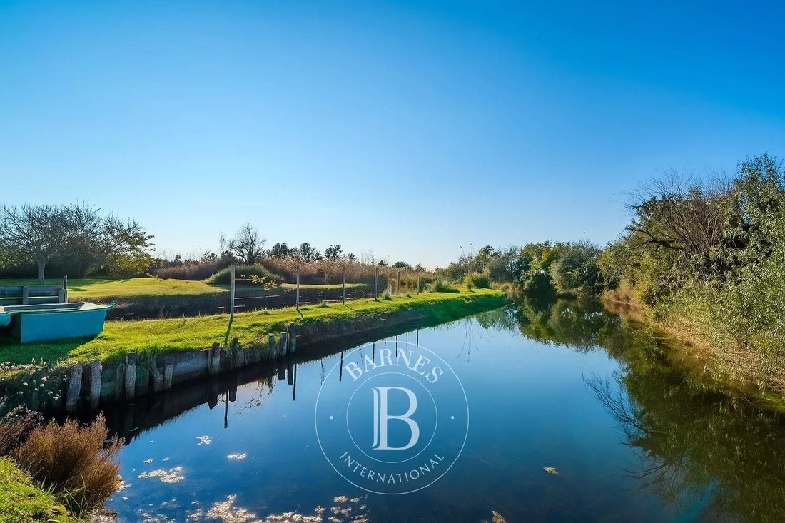 Estate in Cavallino, Veneto, Italy 2 - 17367385