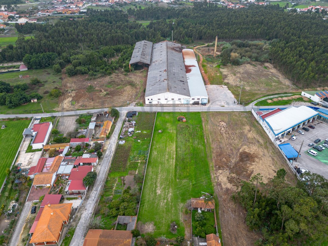 Land in Mira, Coimbra District, Portugal 5 - 17364018